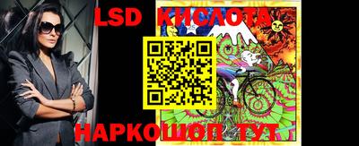 spice Кулебаки