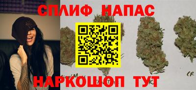spice Кулебаки