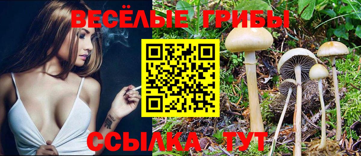 Ижевск  Псилоцибиновые грибы Psilocybine cubensis  Вход с VPN  Псилоцибиновые грибы MAGIC MUSHROOMS 